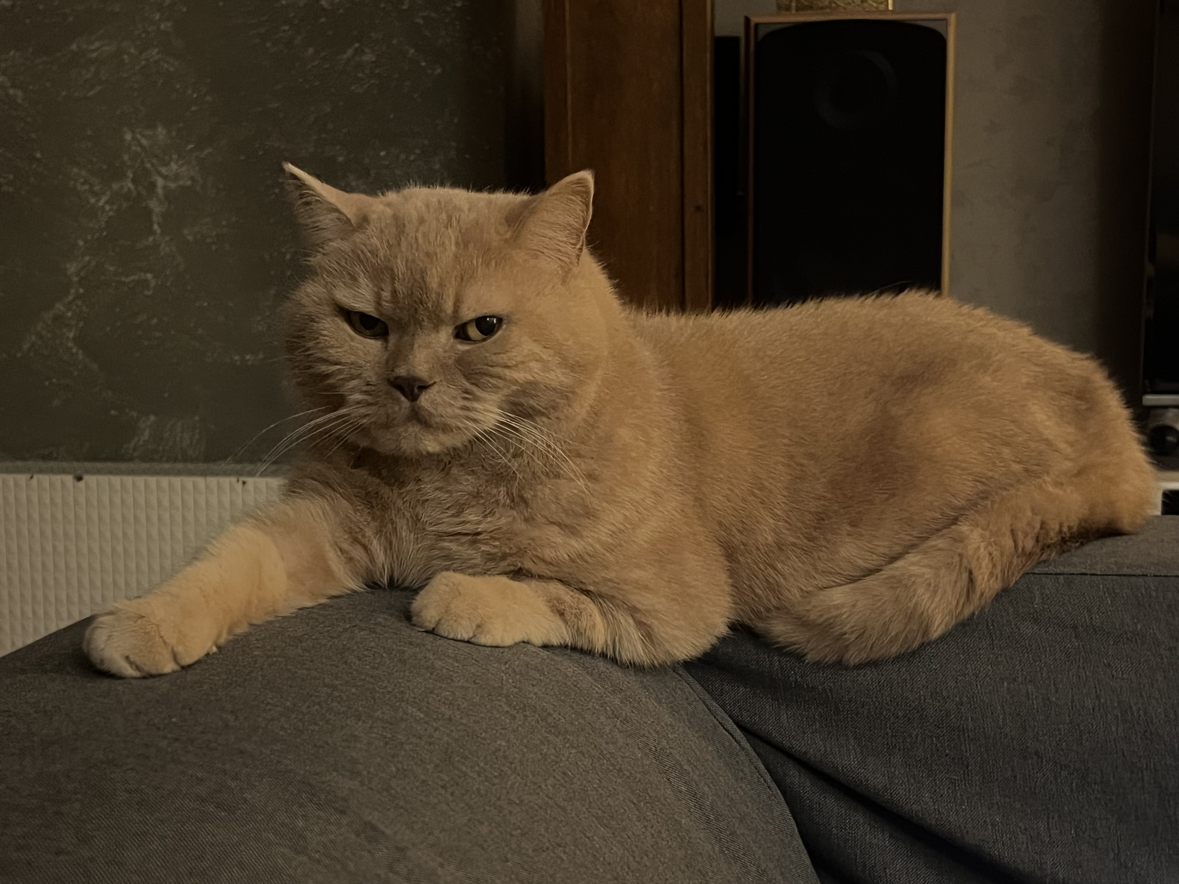 IMG_5914.jpeg