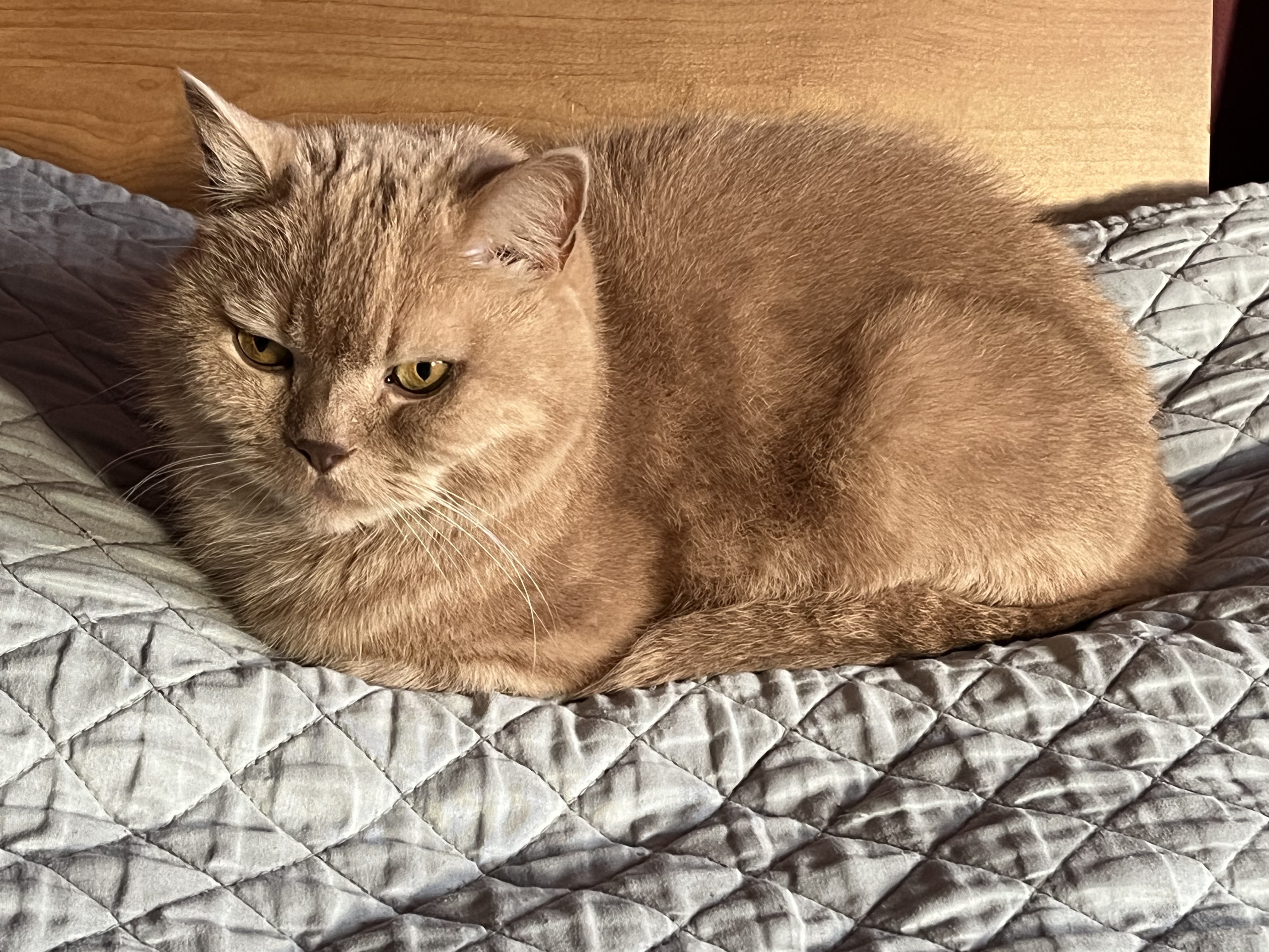 IMG_5959.jpeg