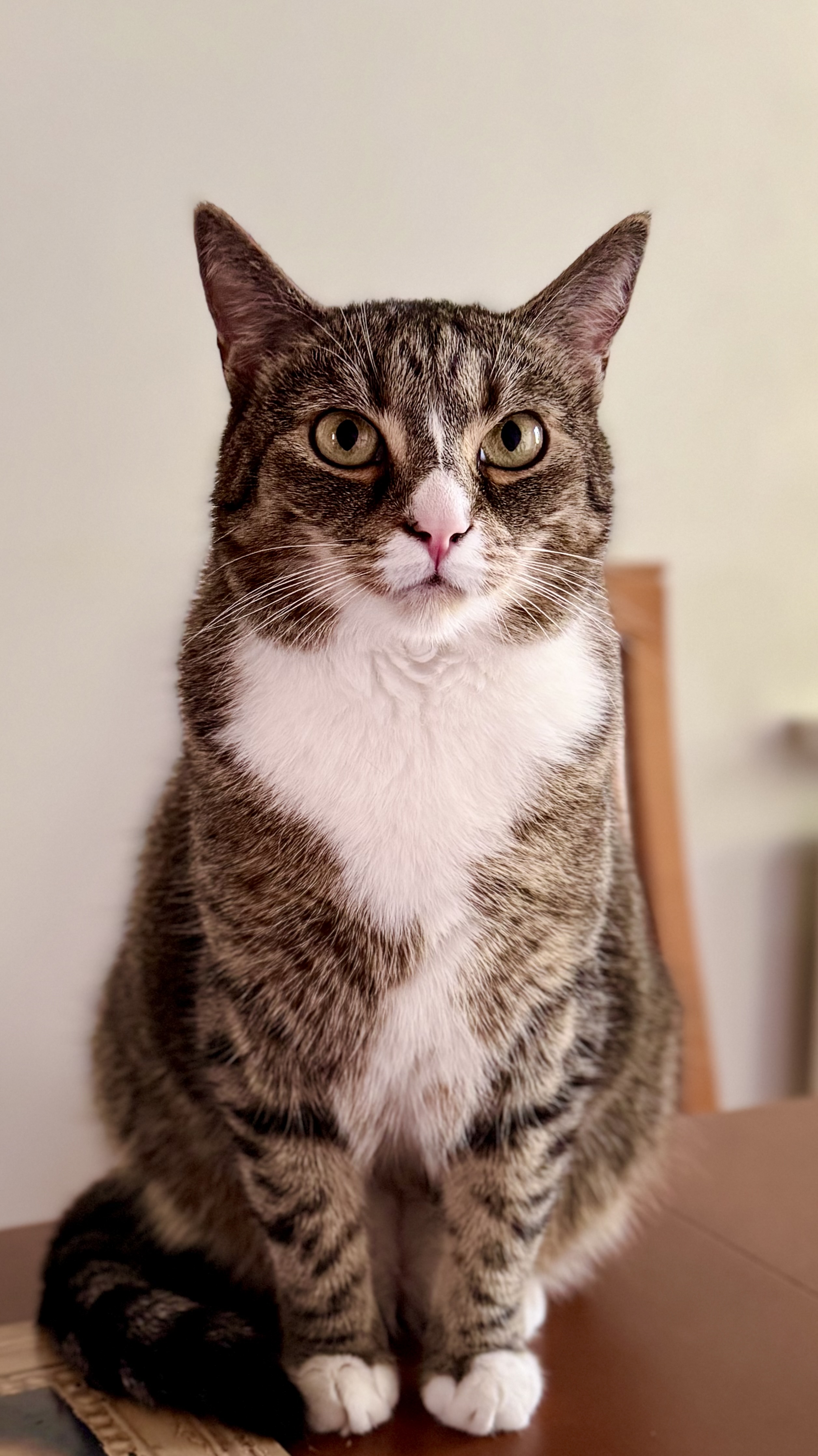 Mieszko I specjalnie dla Cioci