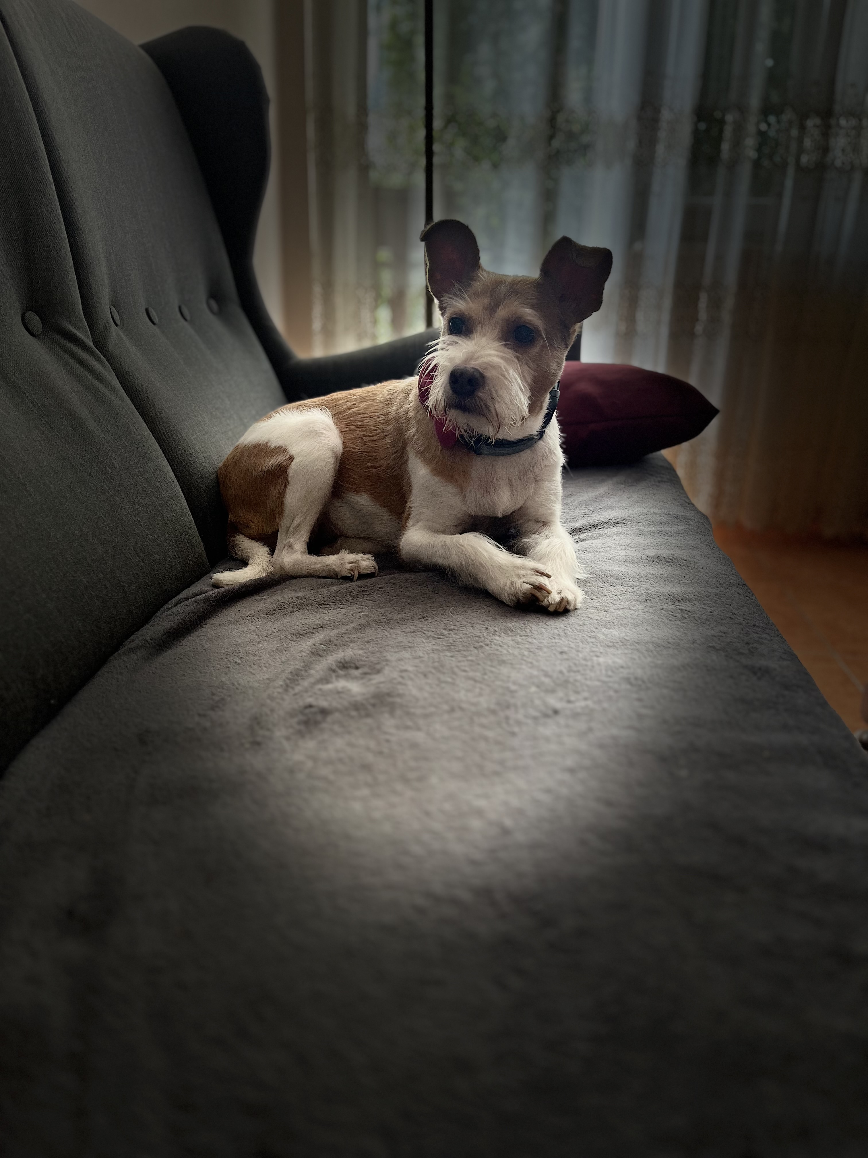 IMG_7772.jpeg