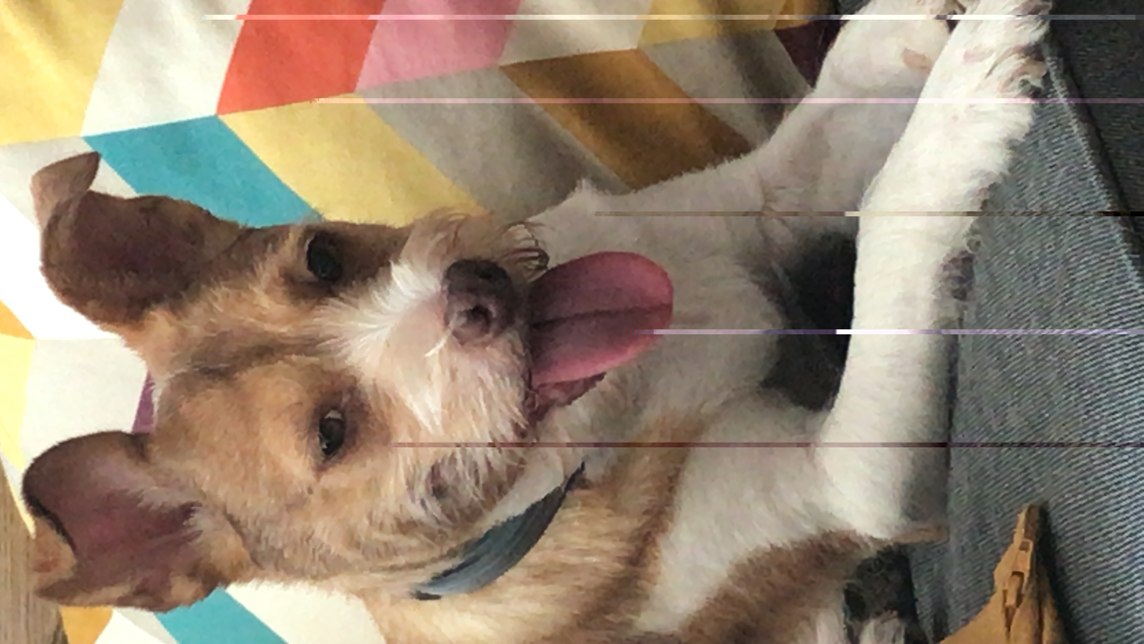 C0464E53-C622-4CE0-A8D1-36A3918FF395.jpeg