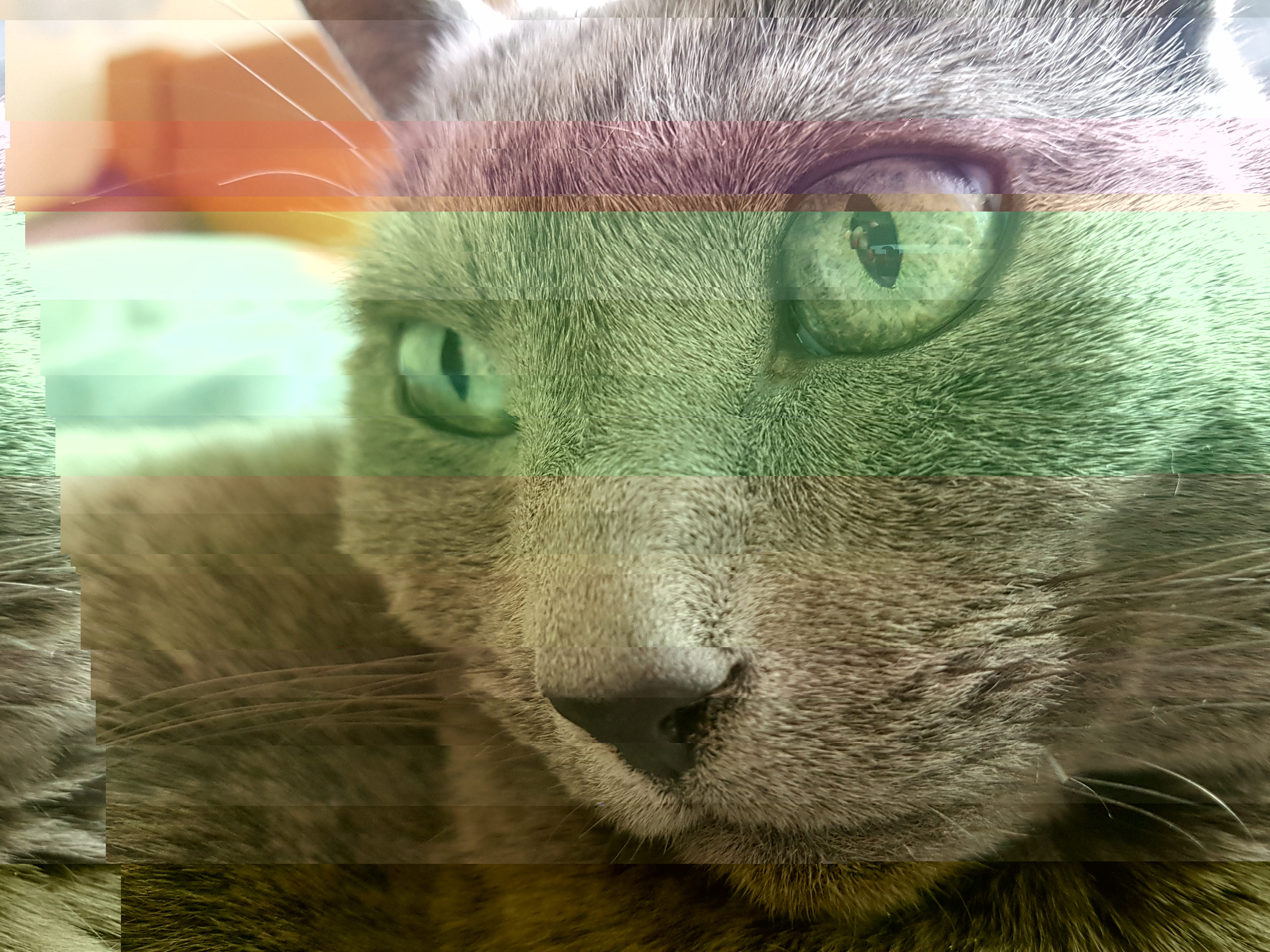 20221014_120232 (1).jpg