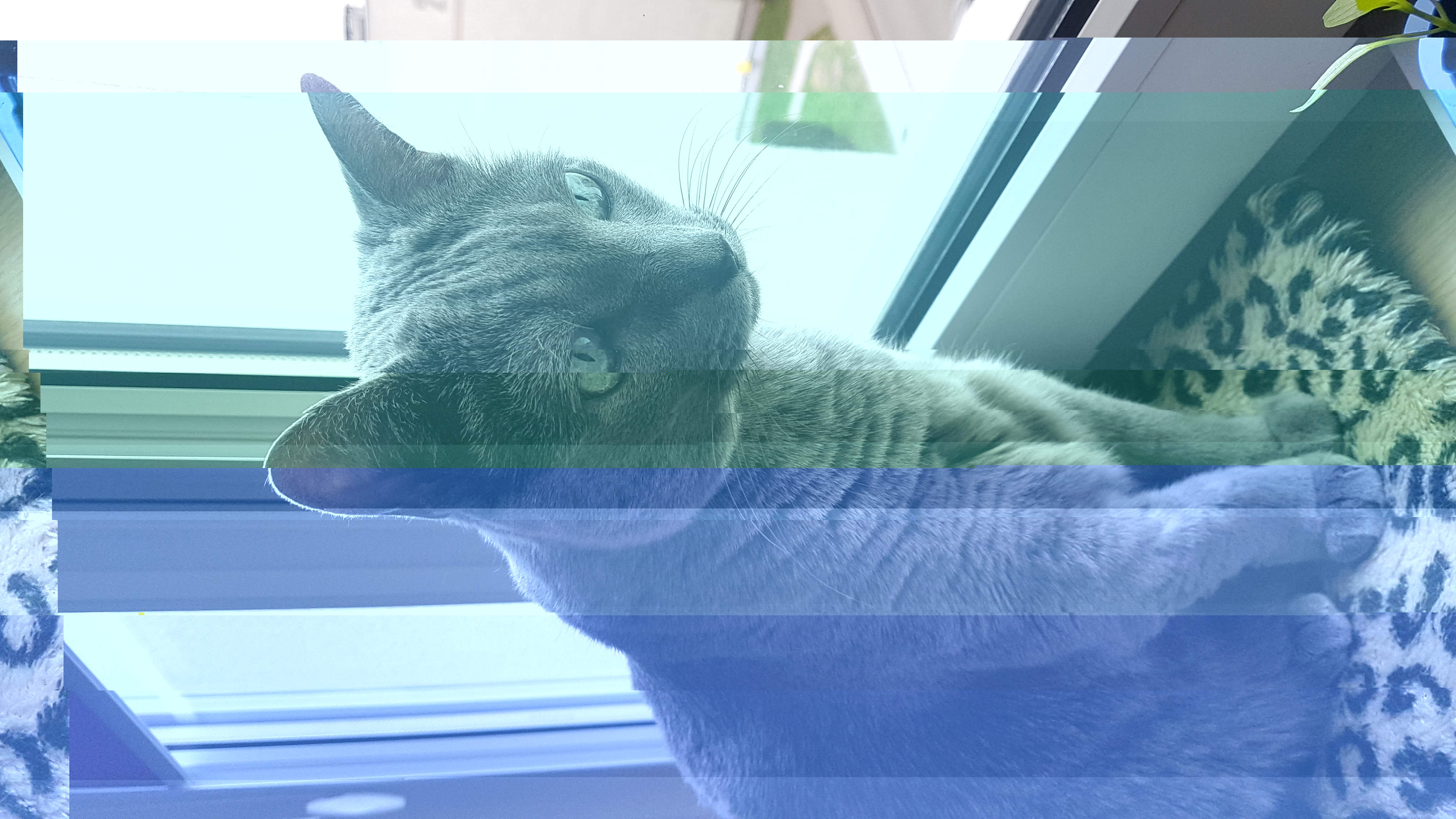 20220423_131329.jpg