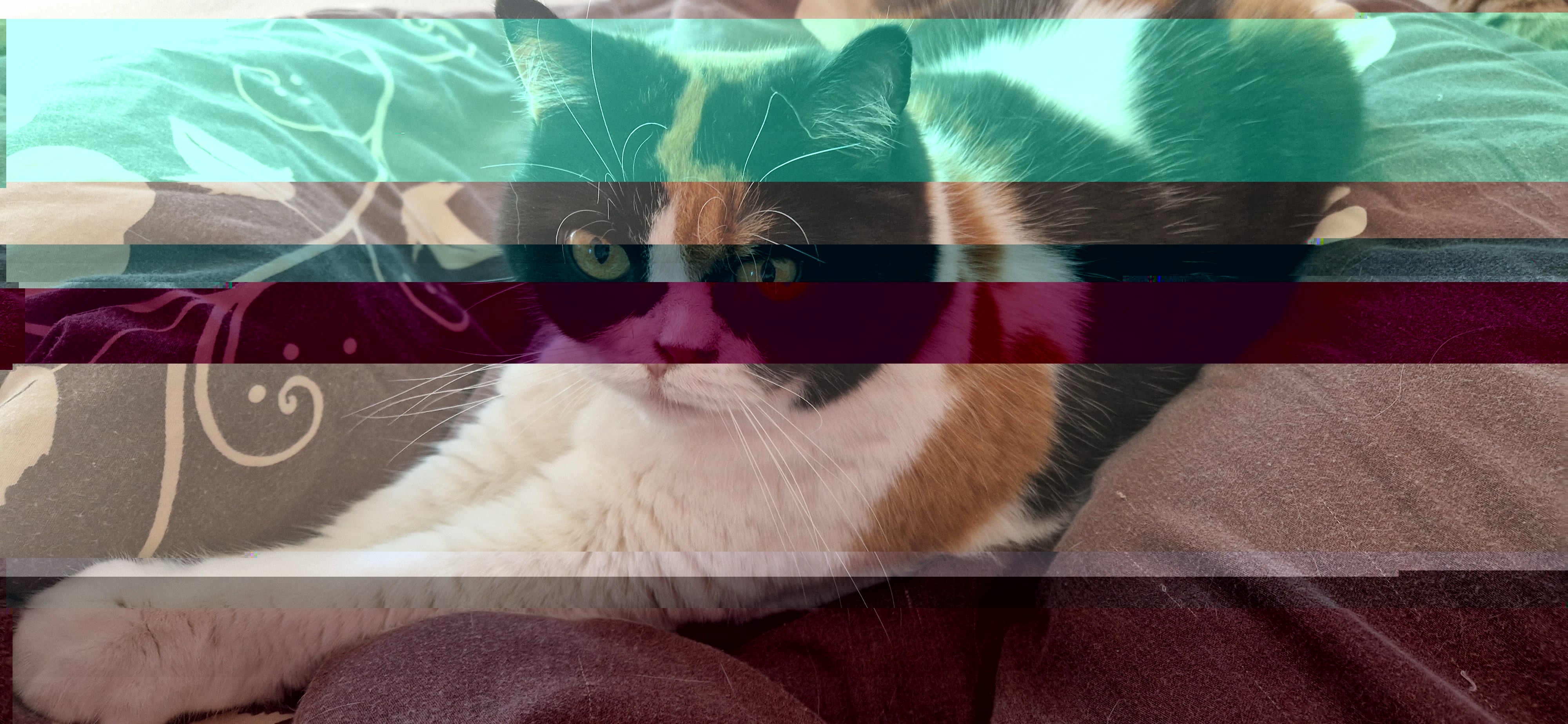 20230422_093304.jpg